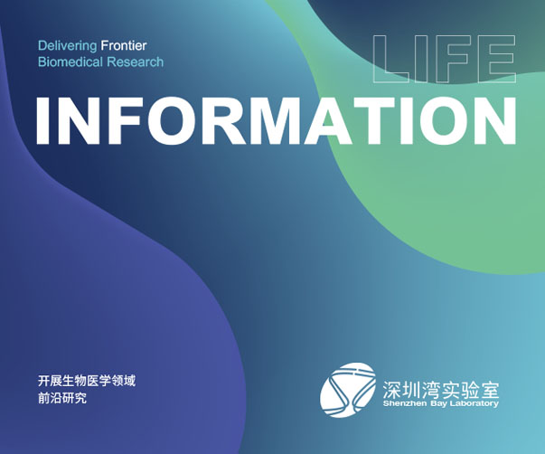 ?上海團(tuán)隊(duì)煥新葡萄酒體驗(yàn)的品牌形象與包裝設(shè)計(jì)